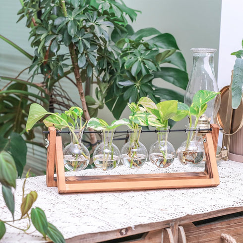 Glass Planter Bulb Vase with Retro Solid Wooden Stand and Metal Swivel Holder for Hydroponics Plants